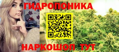 скорость Лесосибирск