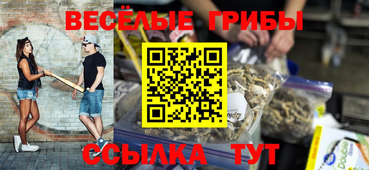 Галлюциногенные грибы Cubensis Кизилюрт