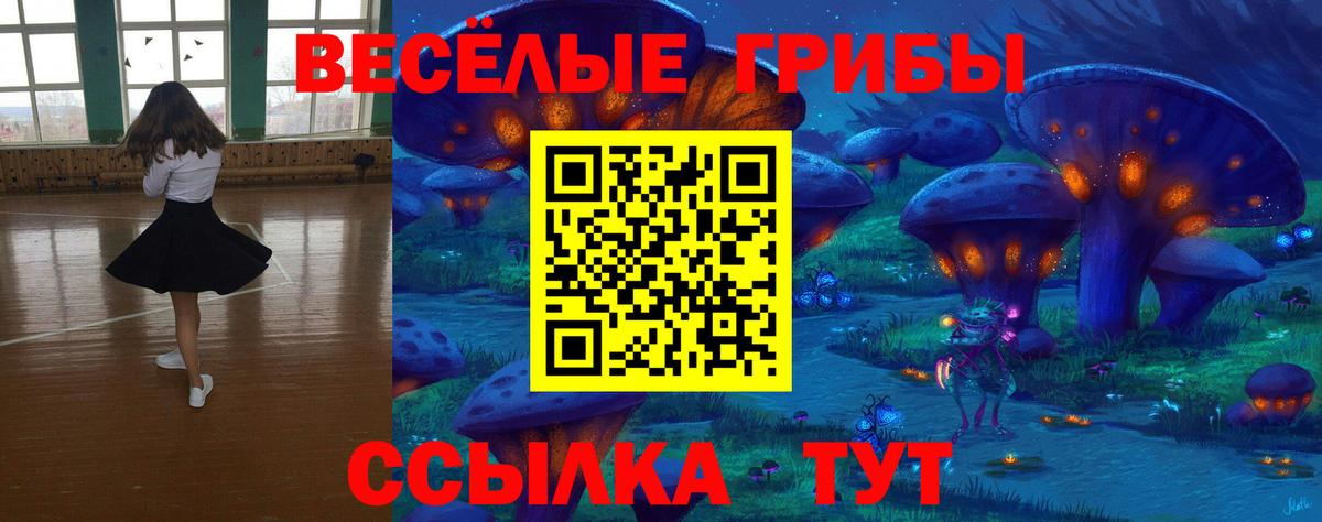 Кизилюрт  Галлюциногенные грибы мухоморы  Вход с VPN 